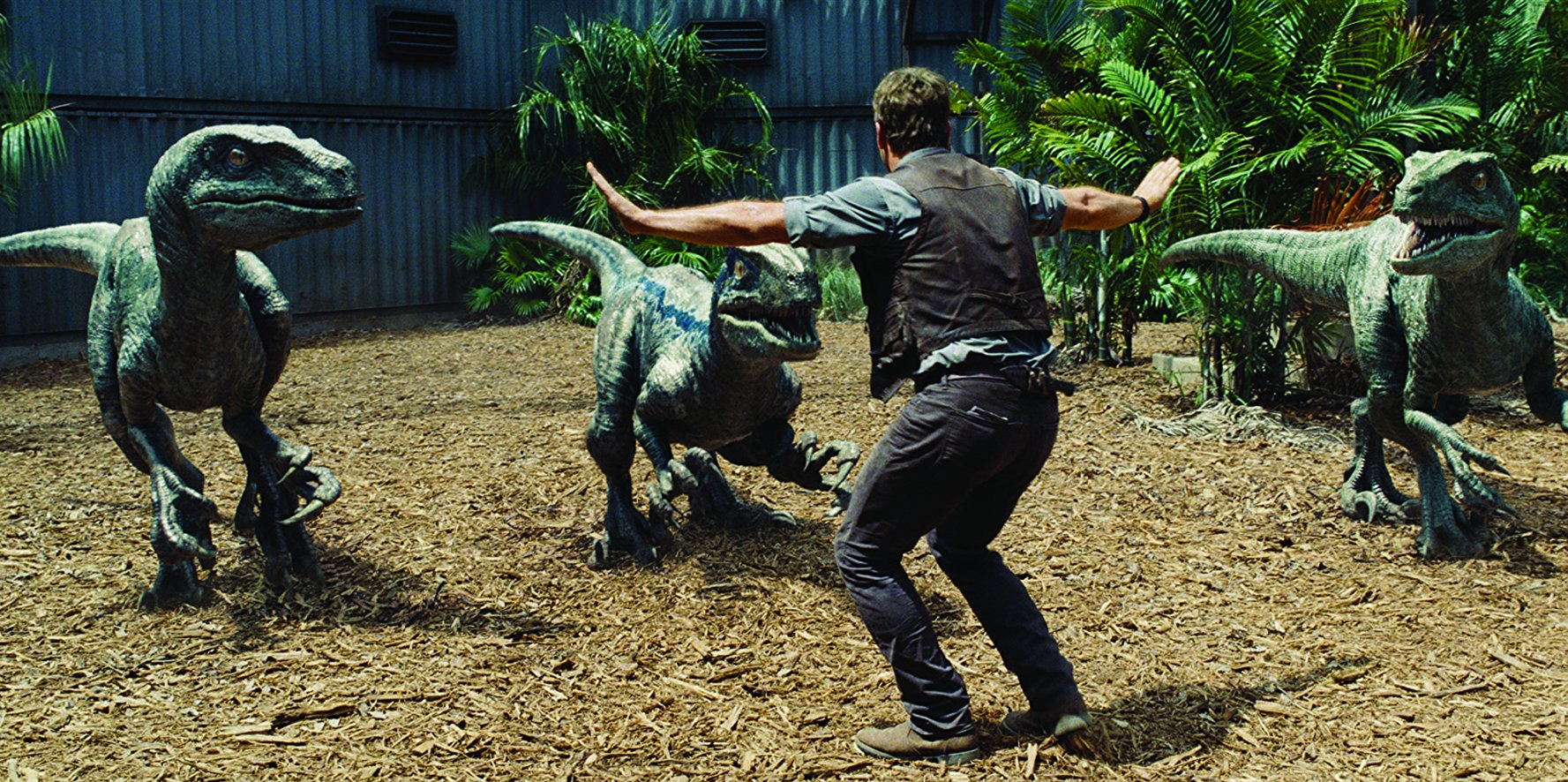 Chris Pratt with velociraptors