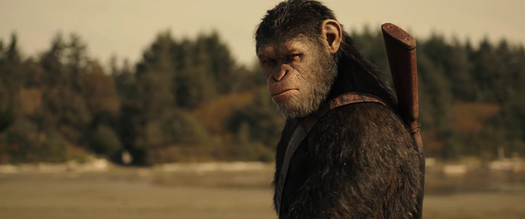 Caesar in War for the Planet of the Apes