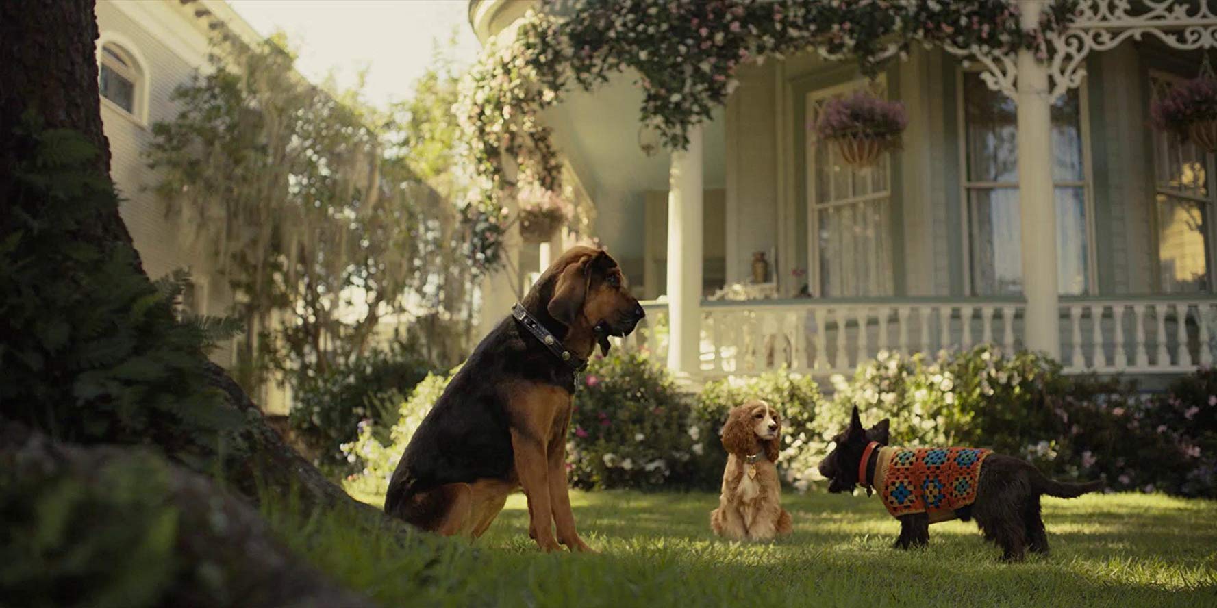 Scene from 2019 Lady and The Tramp